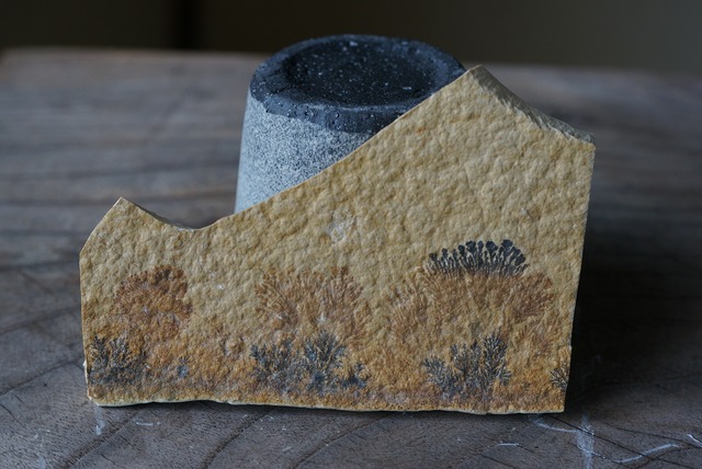 デンドライト 忍石 Dendritic limestone ⑧