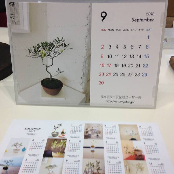 Olive Bonsai Shop