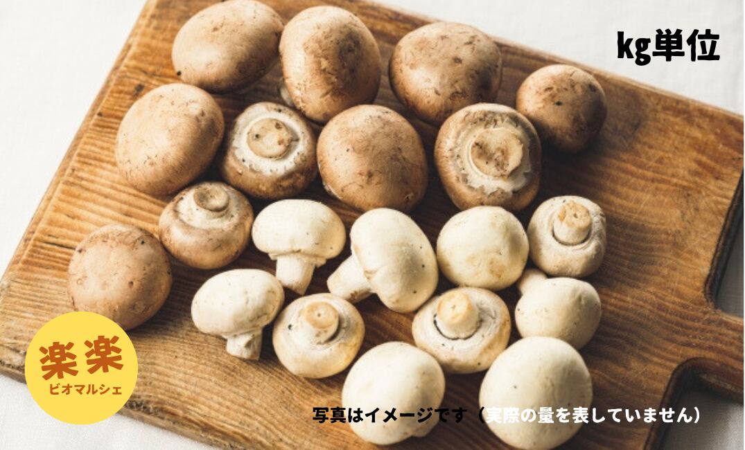 マッシュルーム(大容量お得サイズ・1㎏単位)
