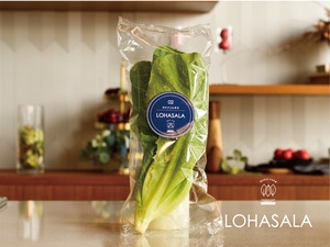 LOHASALA　ロメインレタス　　　　6個×80g　無洗LED栽培野菜