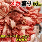 ベランピング メガ盛り 焼肉セット 3kg 敬老の日 バーベキュー コウネ カルビ ホルモン 鶏肉 特選 焼肉 BBQ ビールのお供【冷凍】 【送料無料】