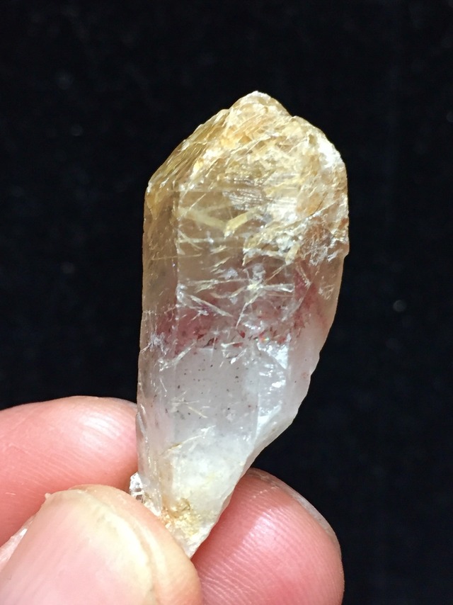 9) 超希少！突然変異「ナイジェリア・ドリーム」