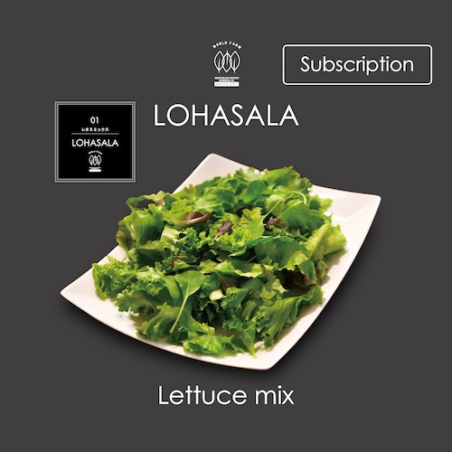 定期　LOHASALA　レタスミックス　小分け10個×100g　無洗LED栽培野菜