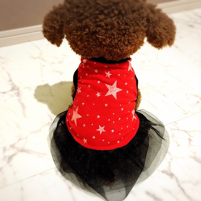 犬服 猫服 ペット服 春夏 キラキラ ワンピース 赤星×黒チュチュ:XS.M