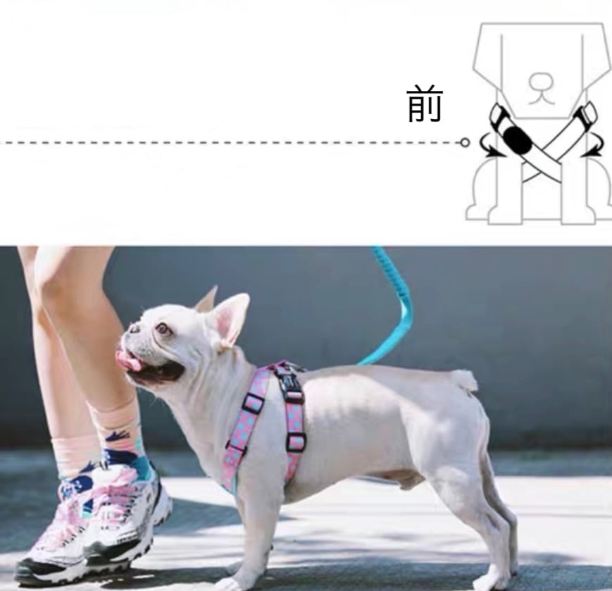大型犬】HiDREAM X型ハーネス | ペット用品 ココアンドルカ BASE店