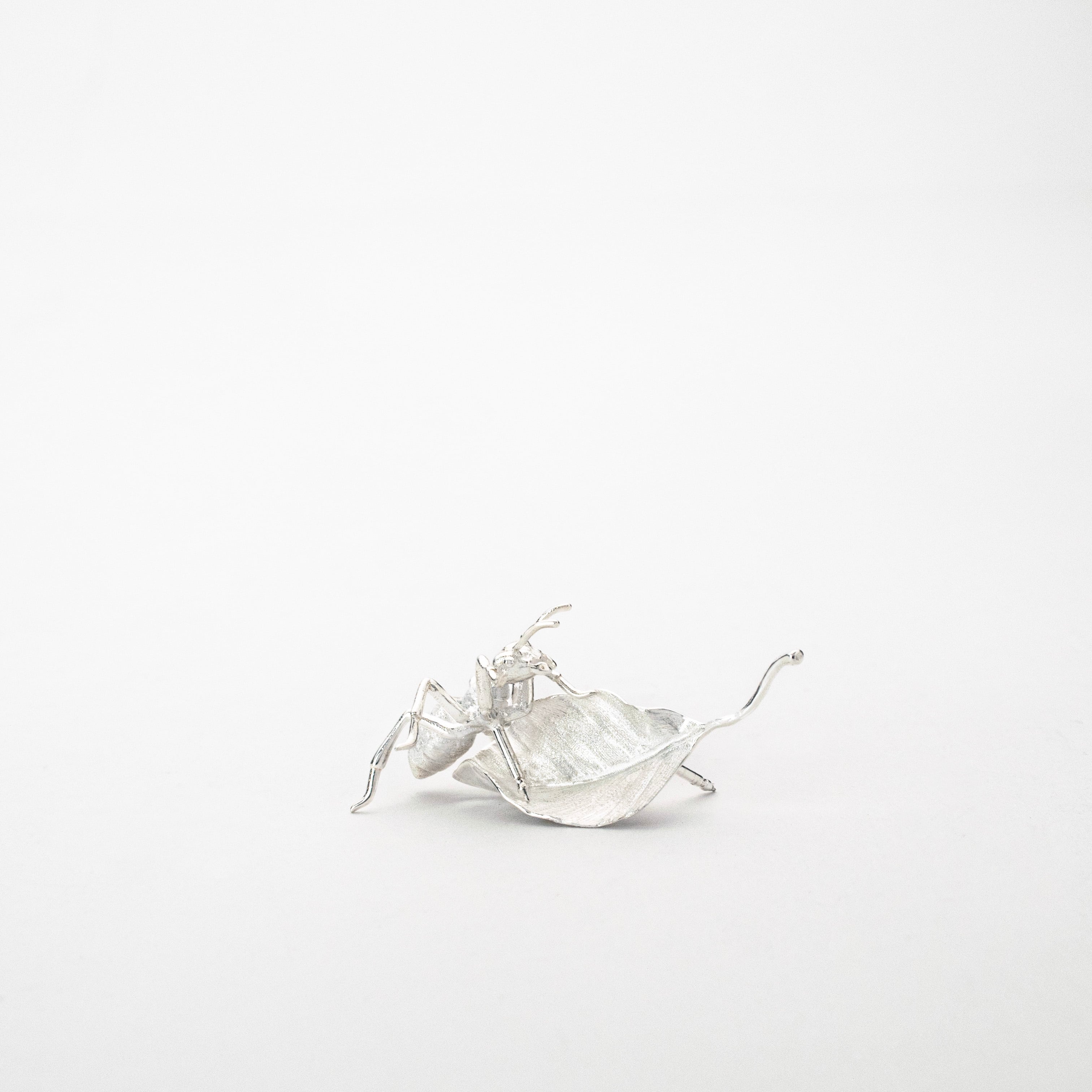 アリ観察 ブローチ | HENUN