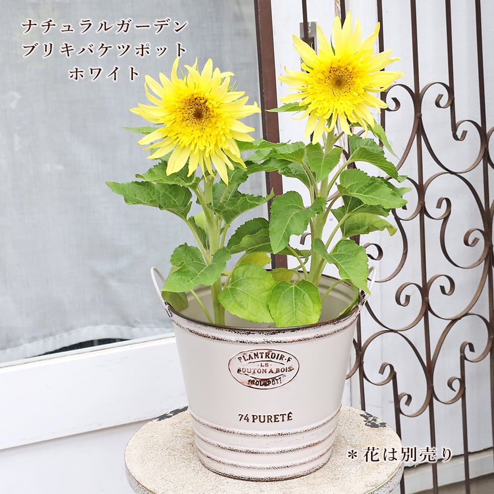 ガーデニング雑貨 | Gardening＆Flower サザンフィールド