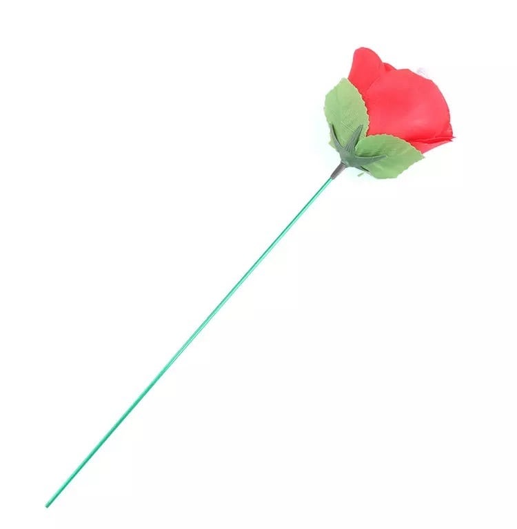 薔薇　3号 42d893fbfec46d622dc2bf2e1eef88