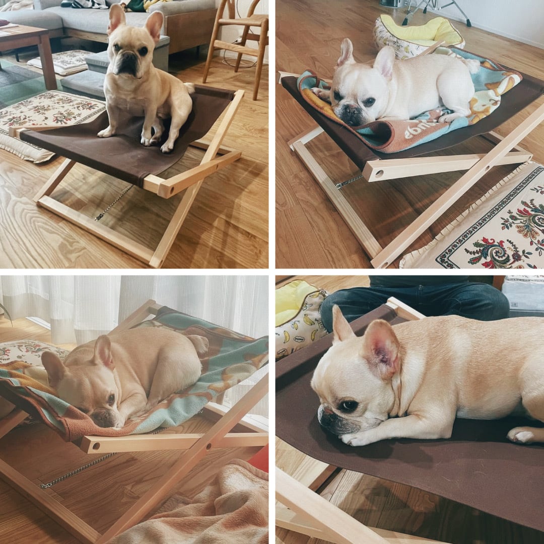 BULL COT Lサイズ (おしゃれ シンプル 室内 キャンプ コット ベッド