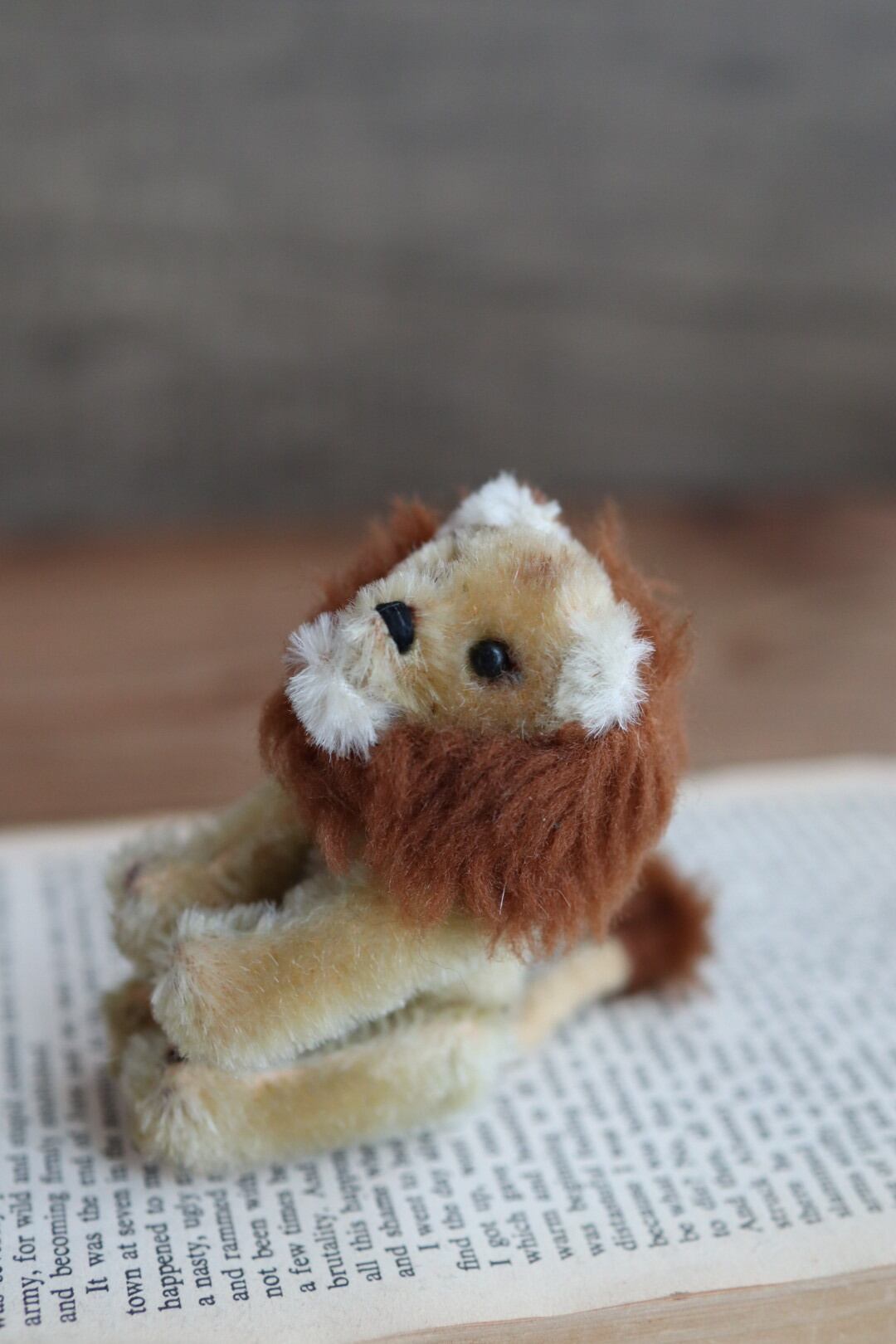 アンティークシュコ ライオン