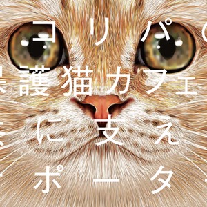 NECOREPA FANCLUB　ネコリパファンクラブ　月々1500円から猫助け！