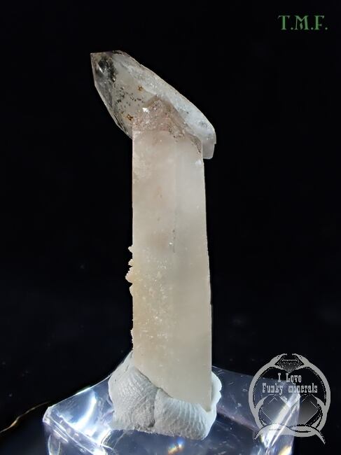 クォーツ 水晶 南アフリカ TM-362 | つぐこみねらるず ｜鉱物・原石