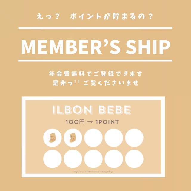 member's ship について