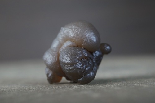 パンダアゲート Panda Agate 1579