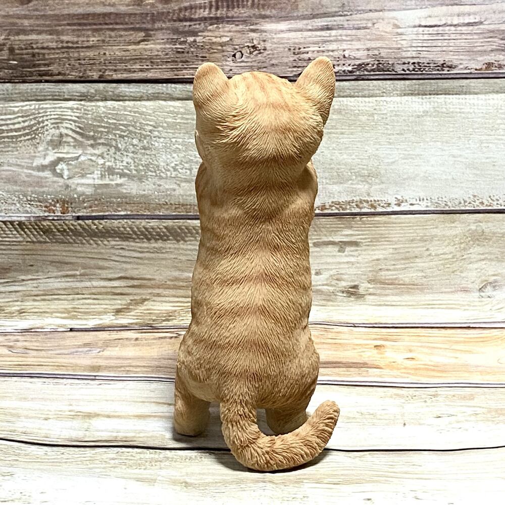 窓の外を眺める子猫