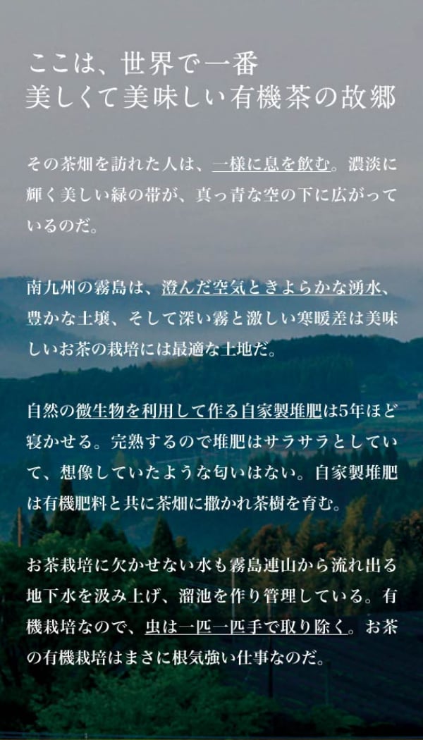 オーガニック緑茶 煎茶 ティーバッグ 30袋セット 農薬不使用 化学肥料不使用