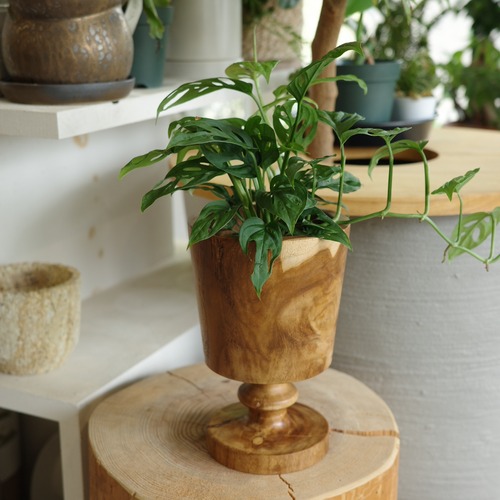 Wood Cup Pot