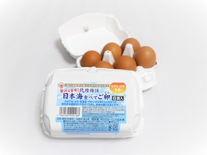 日本海食べてご卵４８個（６個入り×８P）