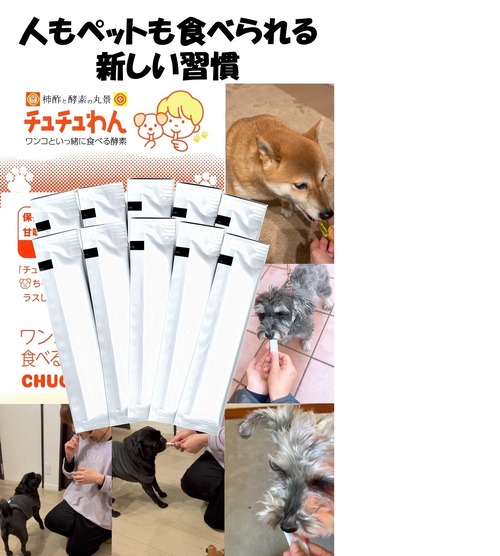 チュチュわん　人とワンコが一緒に食べる酵素（１０包入り）