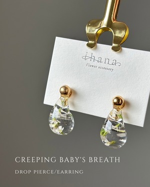 creeping baby's breath drop earring 【数量限定】