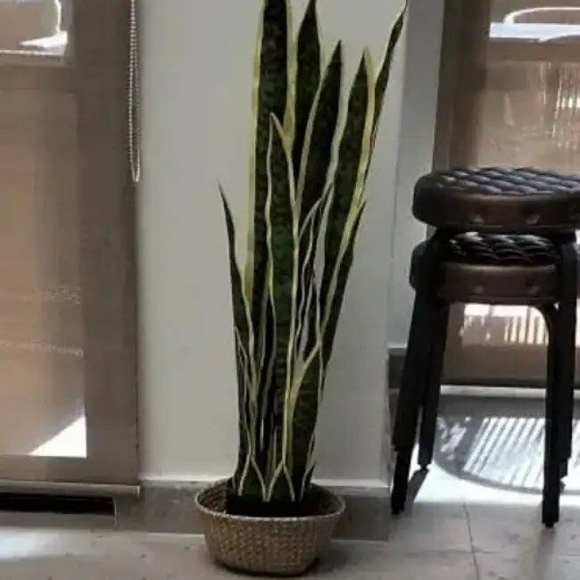 フェイクプラント 観葉植物 サンセベリア 人工植物 グリーン 癒し フェイクプラント 観葉植物 サンセベリア 人工植物 グリーン 癒し