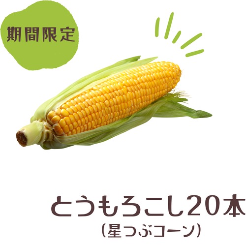 農家支援！　山梨県忍野村産　星つぶコーン　20本入100サイズ