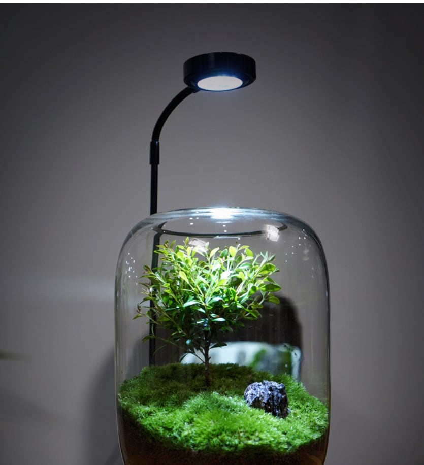 苔 テラリウム 観葉植物 盆栽 ガラス ボトル モダン アート オフィス