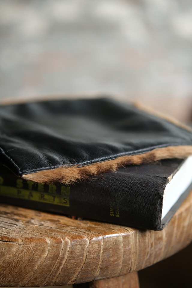 IORI/"LOEWE" 2face mini hand bag/leather × haircalf
