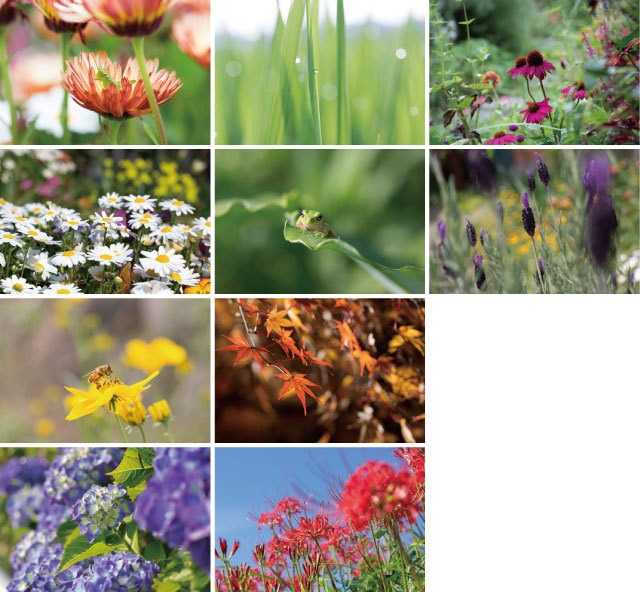 花と緑のポストカード2014（10枚セット）