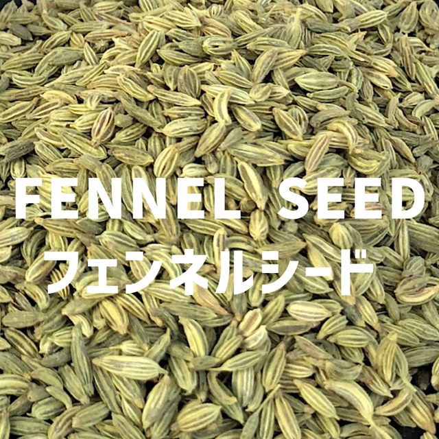 【100g】フェンネルシード FENNEL  SEED Fennel Seed 【シードタイプ 】【スパイス 香辛料 調味料 薬膳 料理 味付け 乾燥 ドライ】【nature ナチュール】
