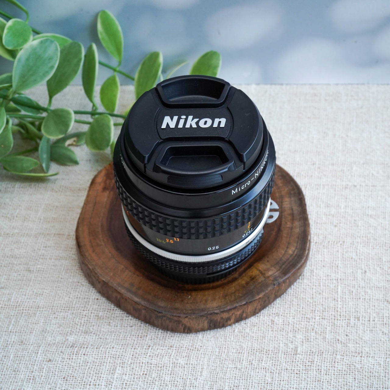 【美品】　Nikon AI Micro Nikkor 55mm f3.5　ノスタルジックなマクロレンズ