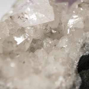 ブランドバーグ ゴボボセブ アメシスト アメジスト / 原石 標本【BIG_2】