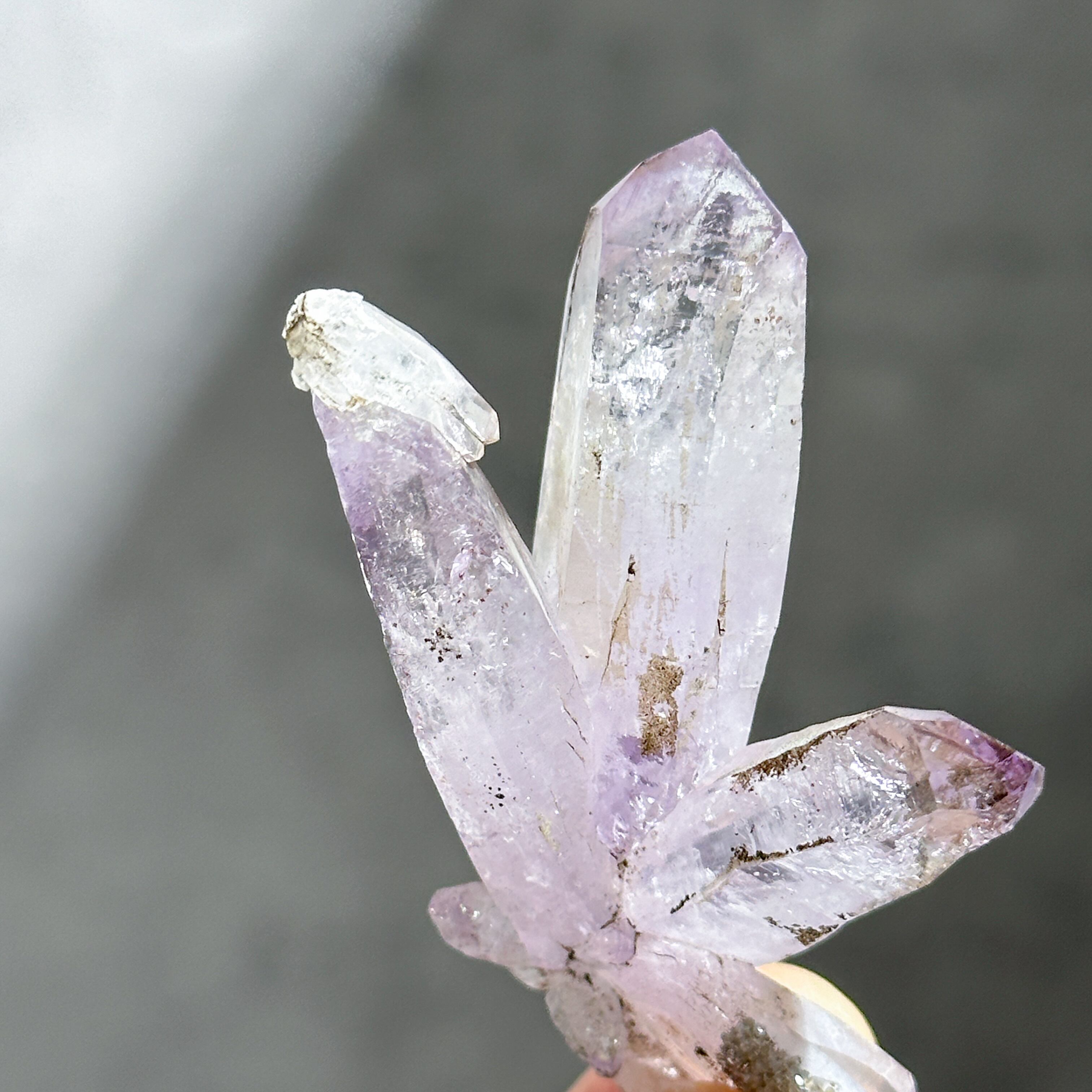 ✧トライゴーニック入り✧ベラクルスアメジスト21◇ Vera Cruz