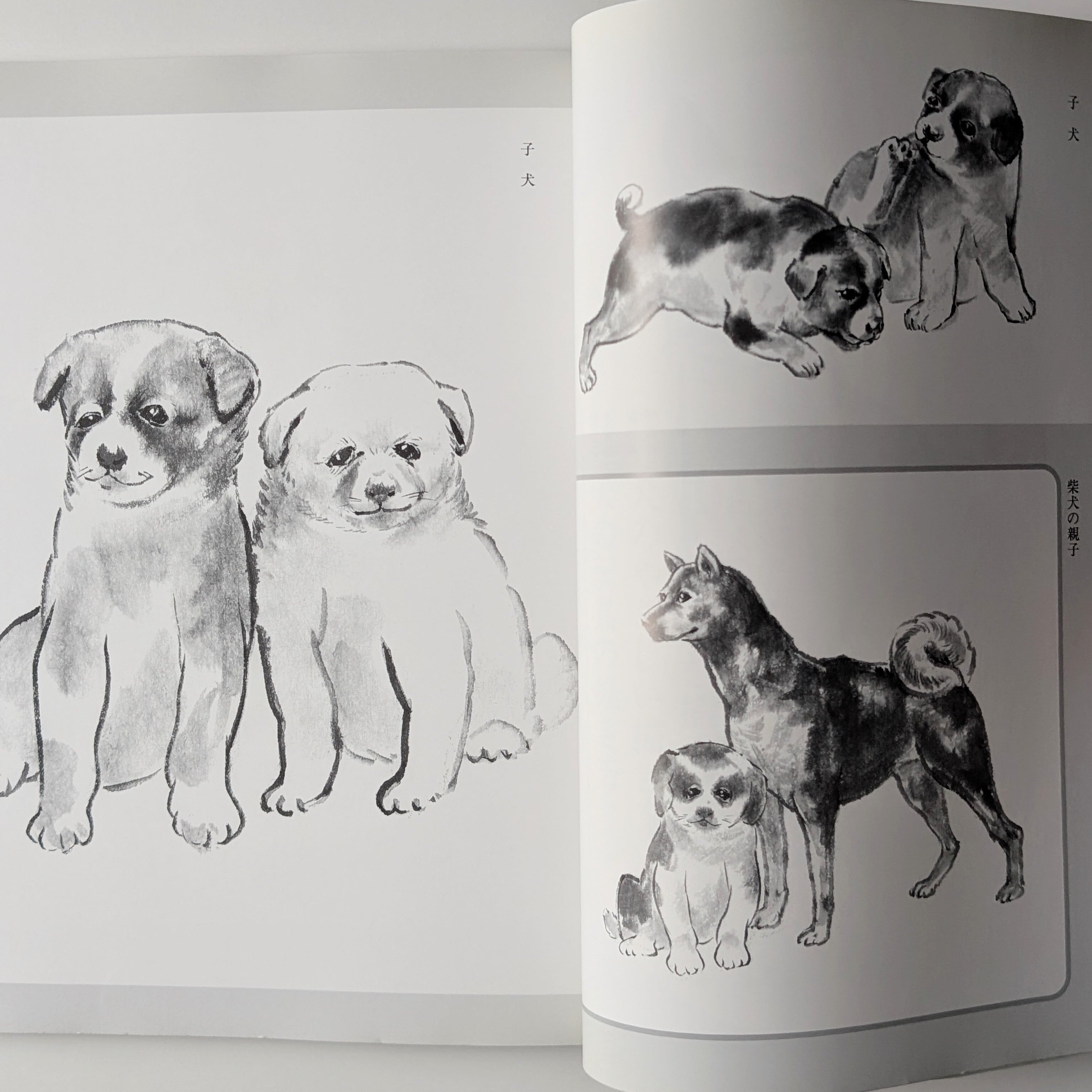 犬の描法 | イヌグラシ