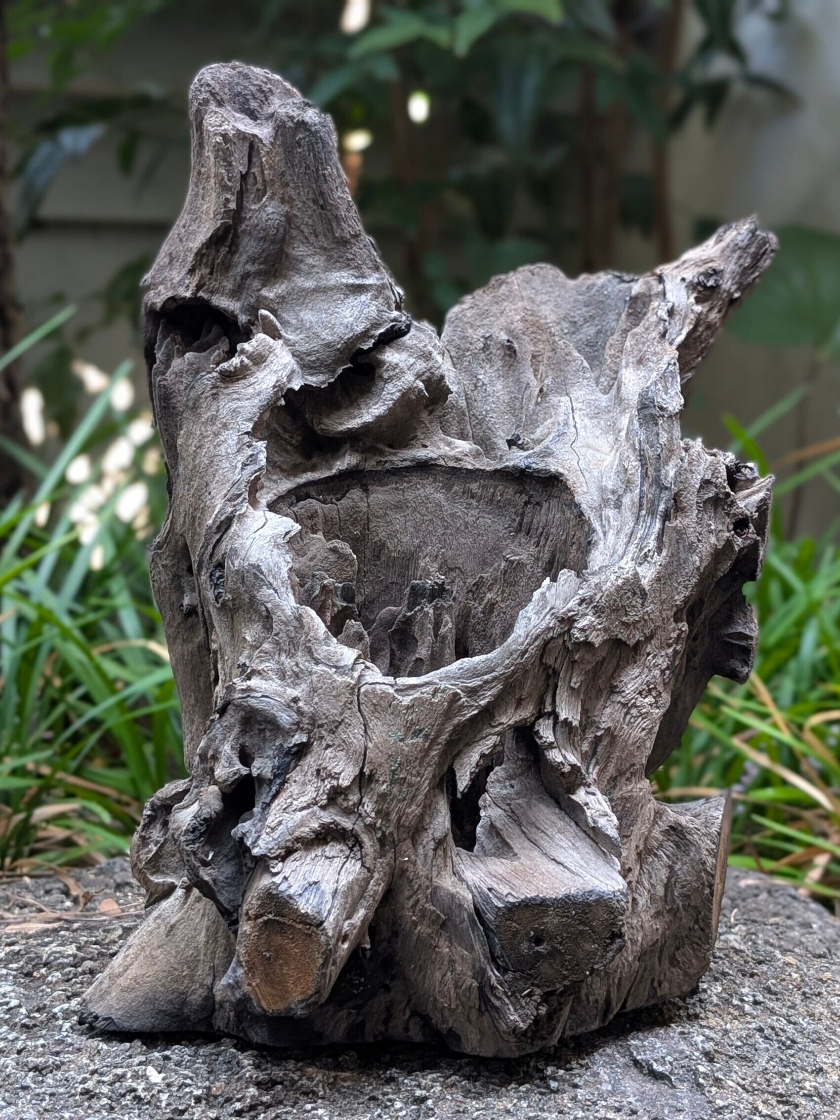 da70f5ccd47175e2bc19187b5c1f2a