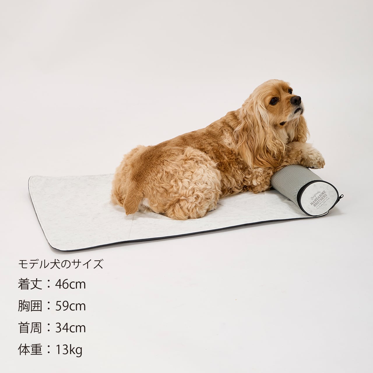 ICY COZY ROOM MAT アイシーコージールームマット | MANDARINE