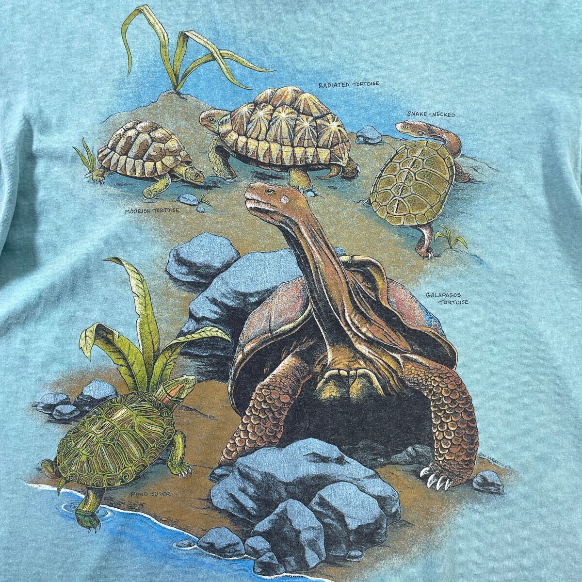 90年代 USA製 Turtles of the World タートル ガラパゴスゾウガメ