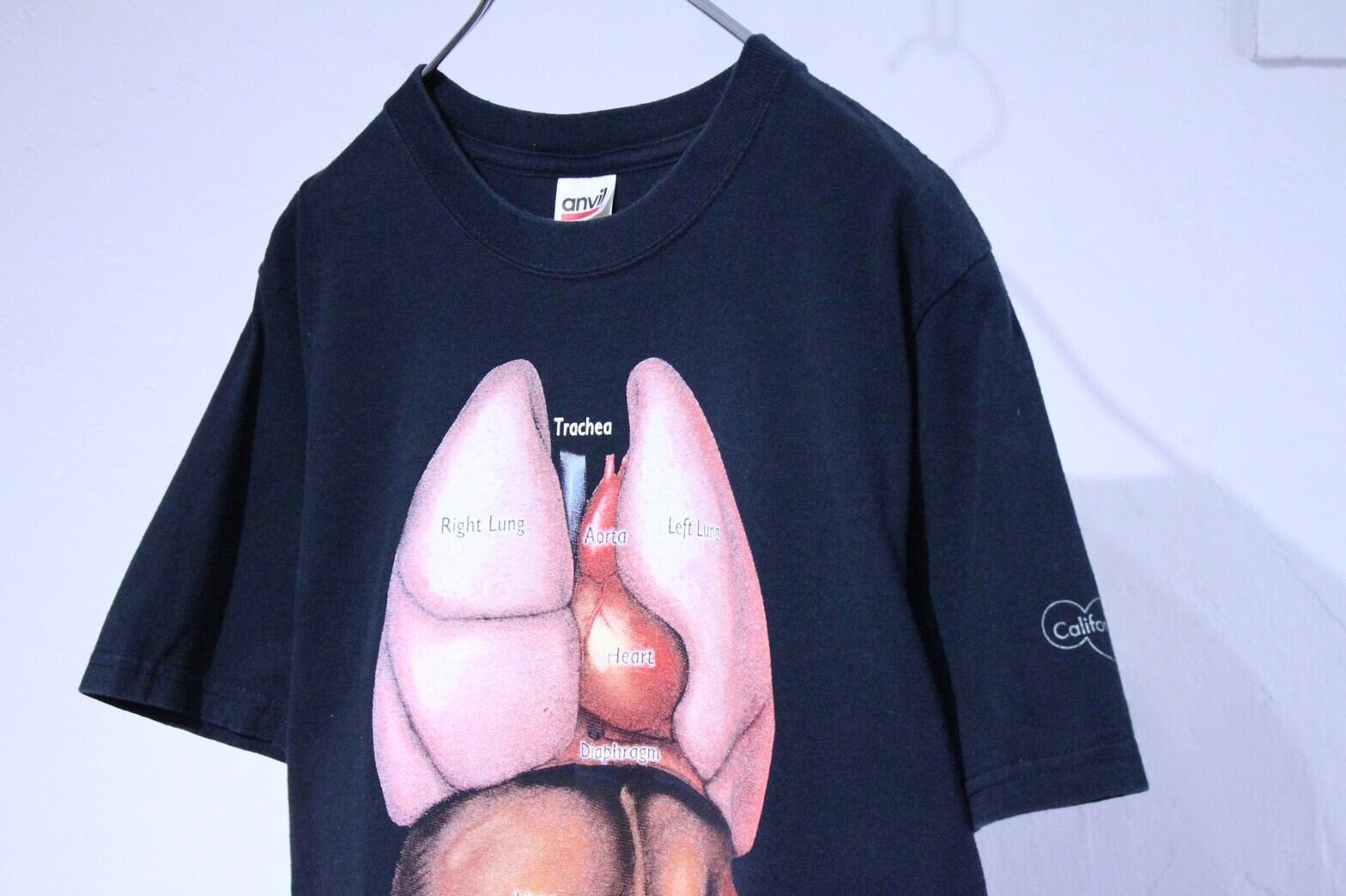 00s anvil アナトミカル　Tシャツ　内臓　臓器　シュプリーム 00s anvil 