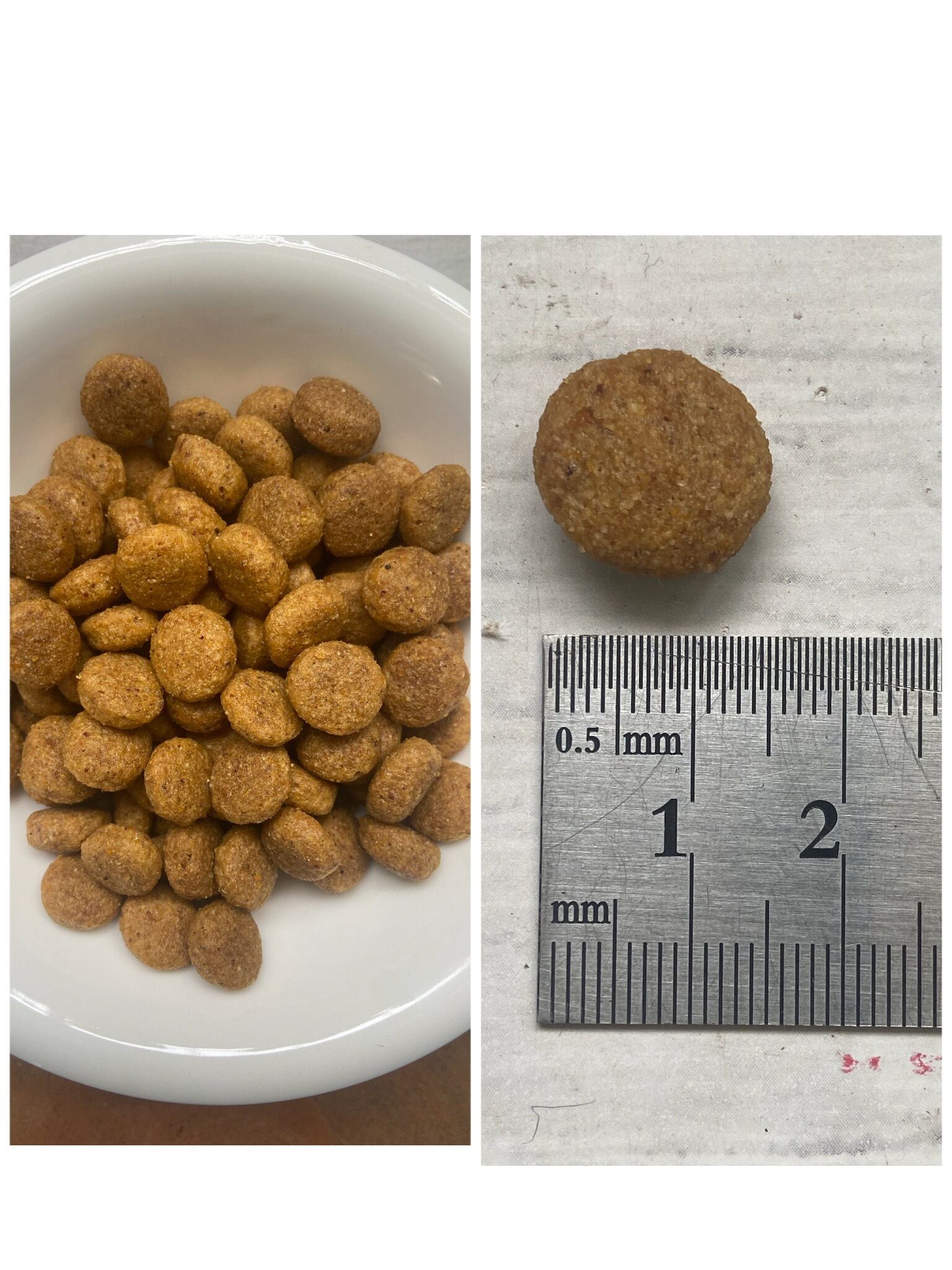 【定期便：1ヶ月】marpet ヴィーガンドッグフード　普通粒1.5㎏×2袋セット