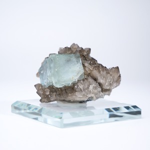 シャンファーリン産 フローライト スモーキークォーツ 共生 / 原石 標本【C_1】