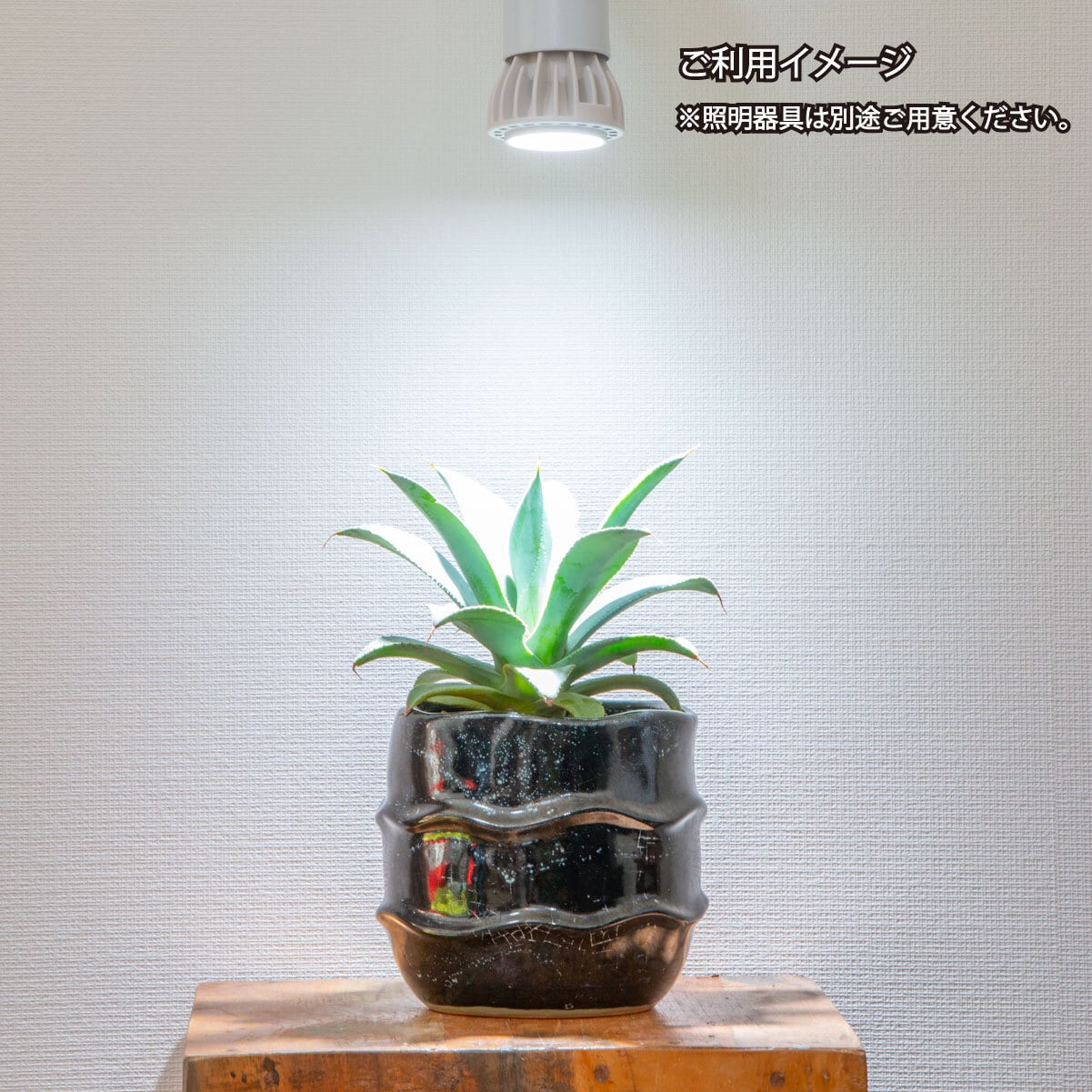 CHISPA 観葉植物育成LEDライト（LEDのみ） | CHISPA