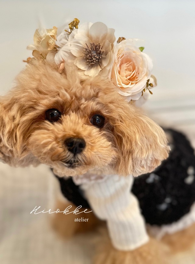わんちゃん用お花冠　Angel Veil Flower Crown　花冠・チョーカー（バレッタ付
