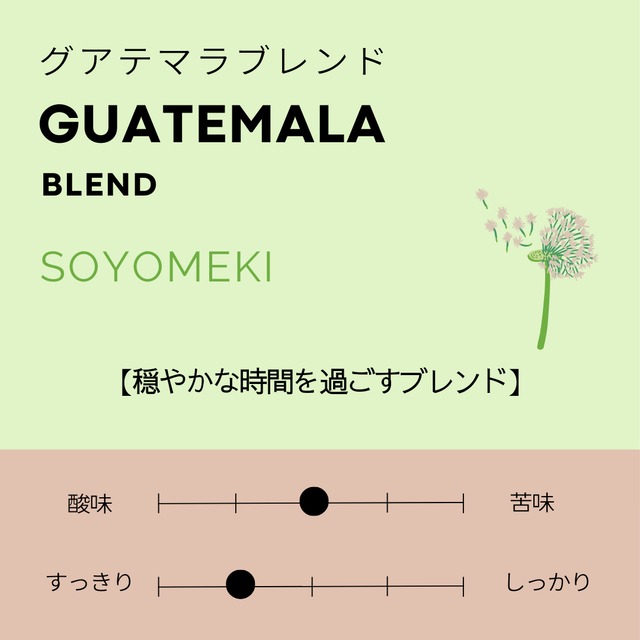 グアテマラブレンド「SOYOMEKI」100g