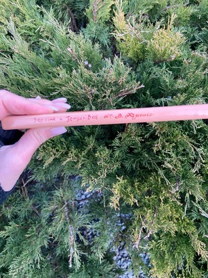 ペトリキフカノート 21 cm（ホメンコ）