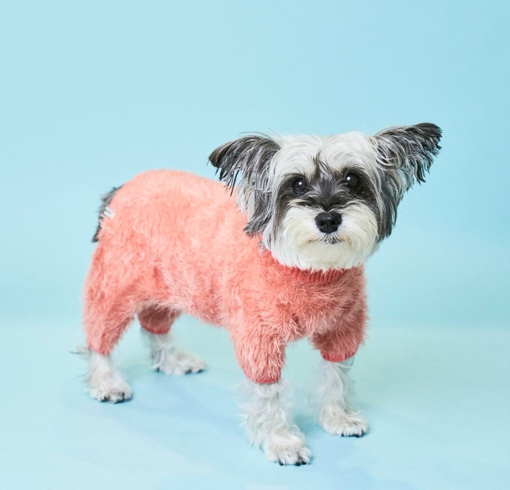 FEATHER YARN ROMPERS-ORANGE