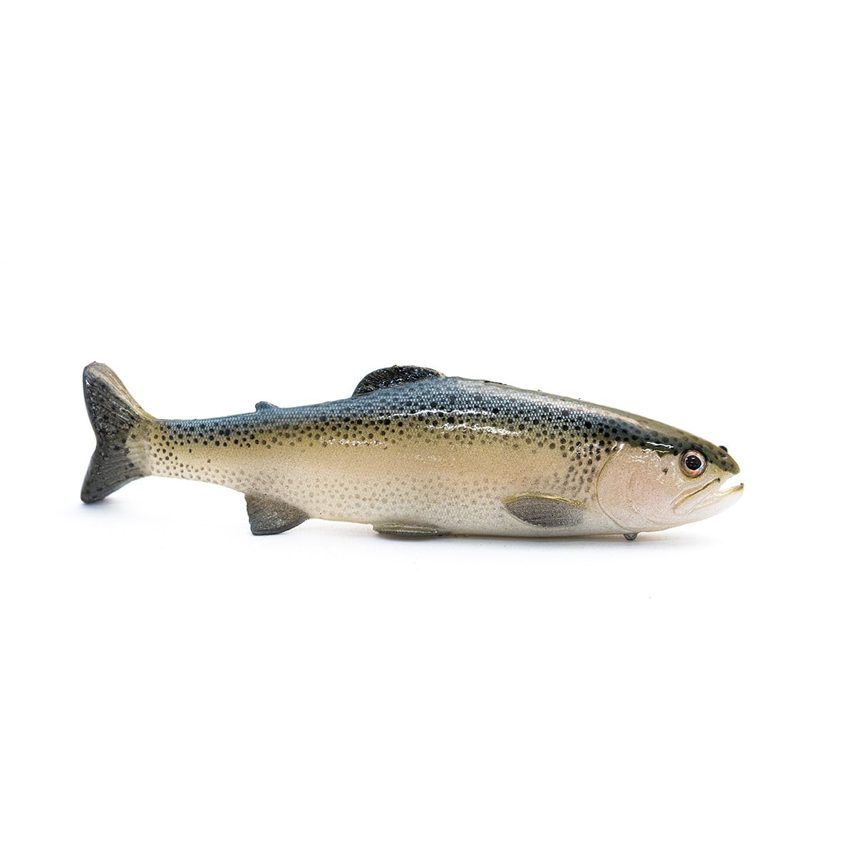 カオスベイト カオストラウト 9.5 ライトトラウト chaos_bait Chaos Trout 9.5 Color: Dark Trout , Light Trout Size