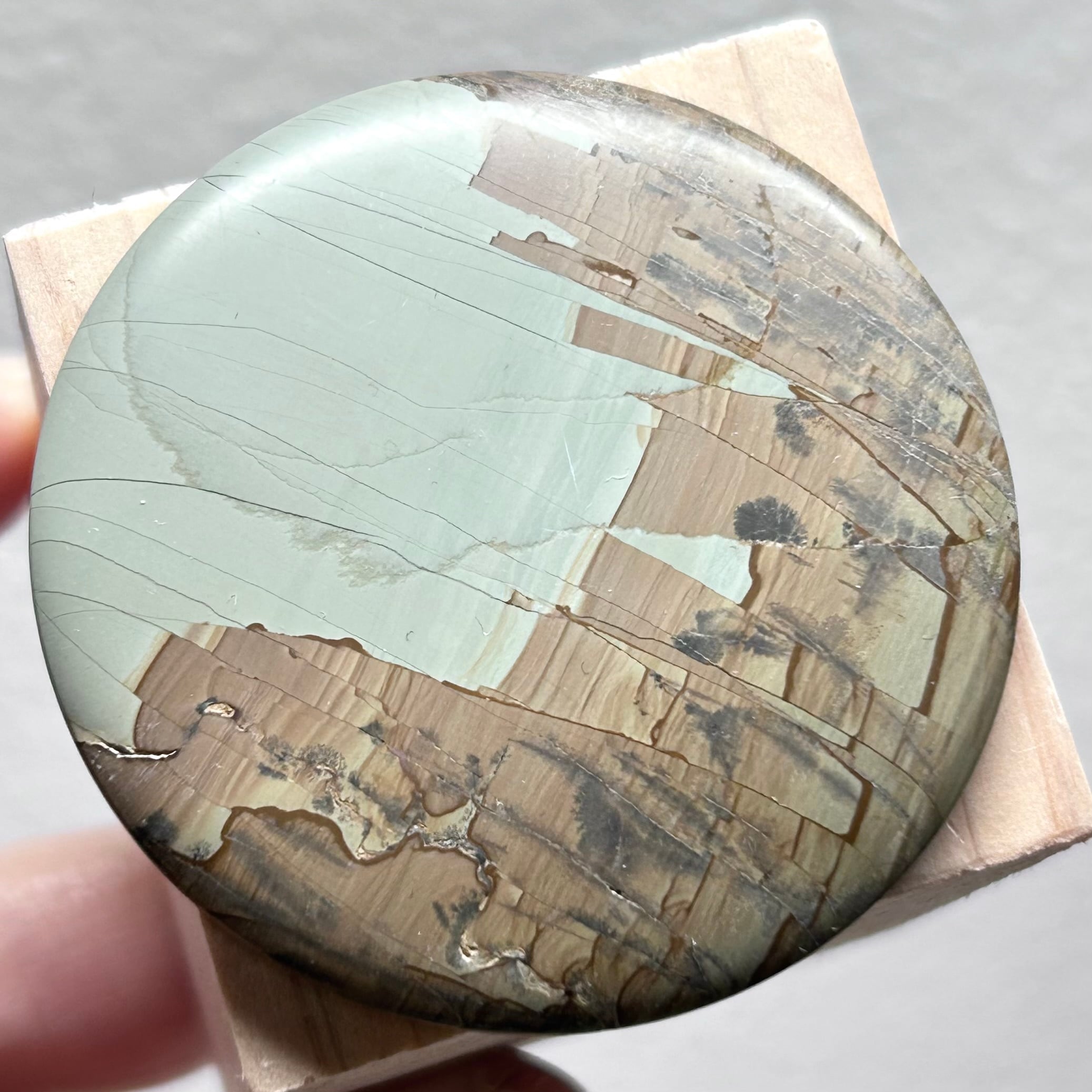 鉄ニッケル隕石 1-12 カンポ・デル・シエロ メテオライト | Hanamomo-stone