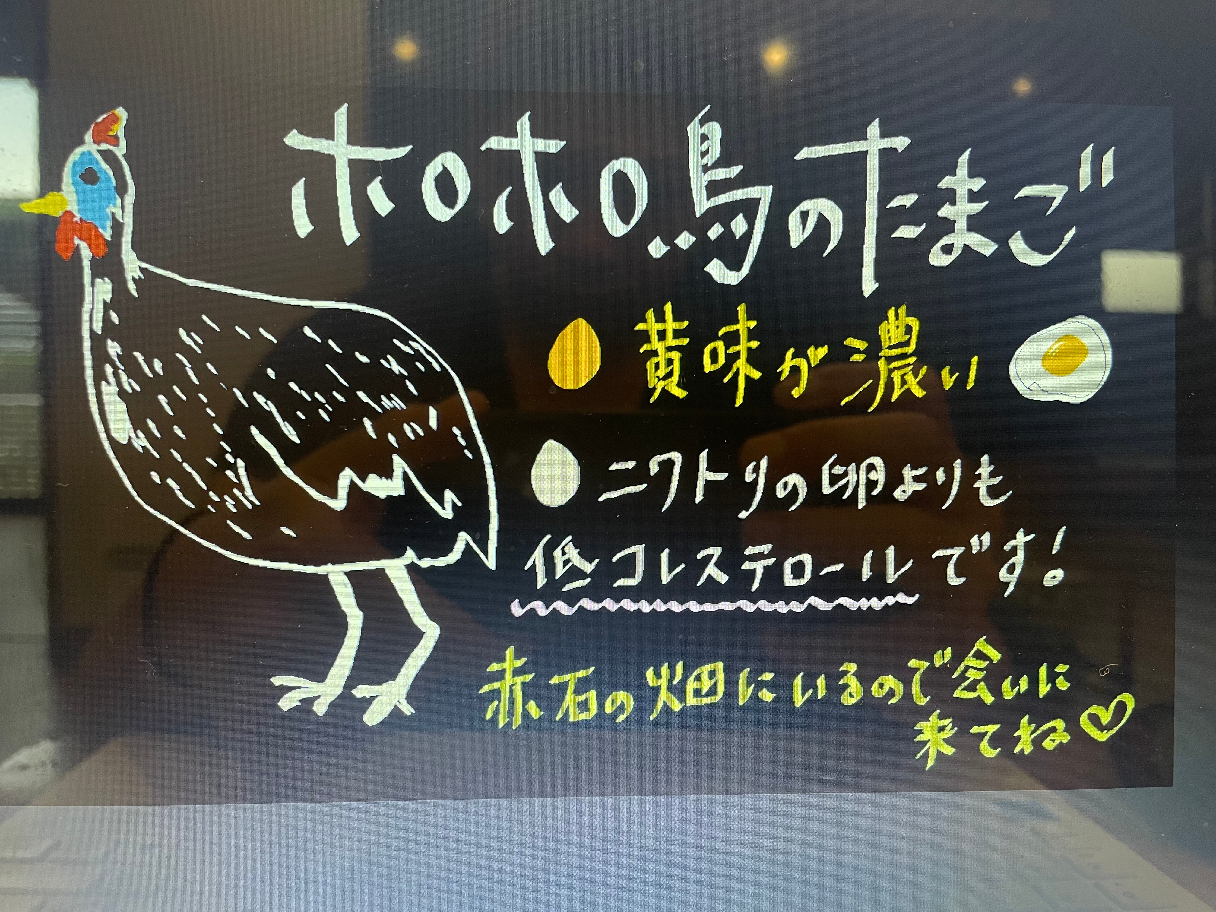 贈答用）【珍しい卵】ホロホロ鳥の卵（6個入り）｜話題性抜群のレア