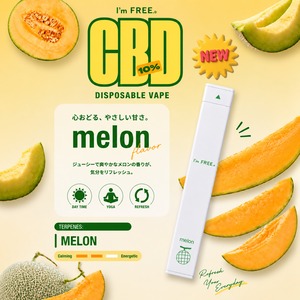 CBD(10%)使い捨て(1.0ml)【北海道メロン】