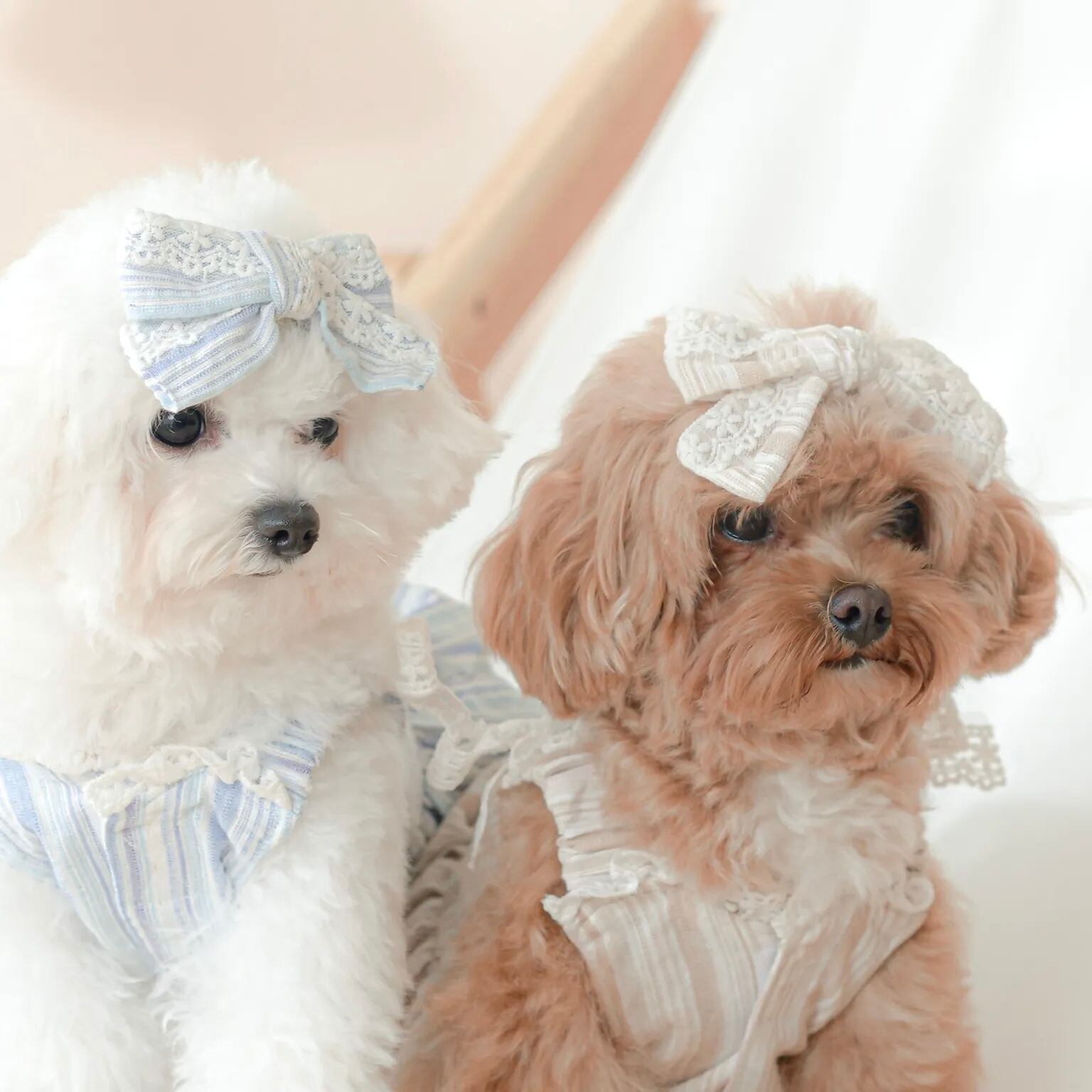 Sunkissed – Ribbon Hair Pin